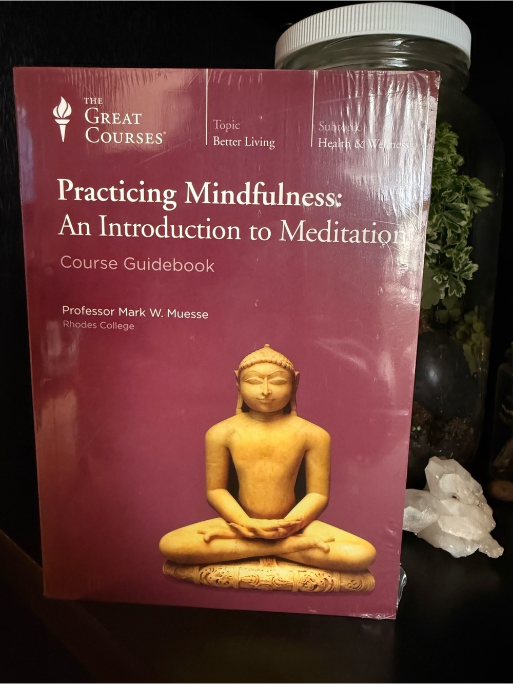 Practicing Mindfulness DVD & Guidebook